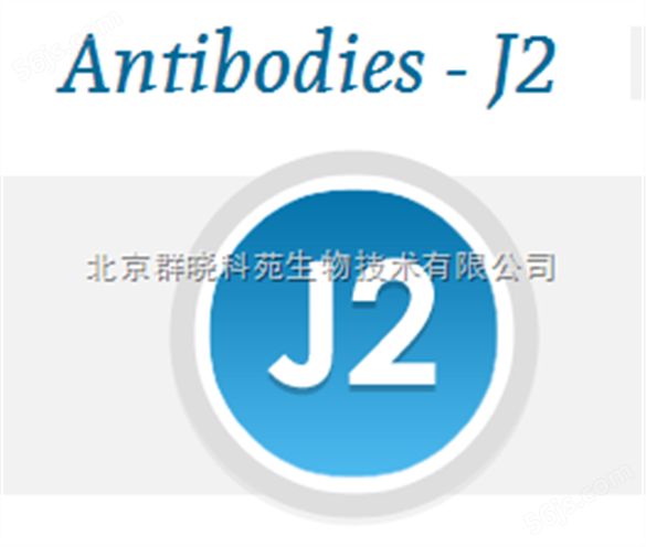销售J2单克隆抗体