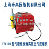 LYV100CNG专卖汽车检测高压空气压缩机