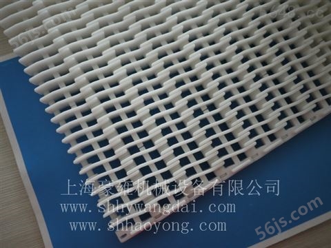 900突肋塑料网带（白色）