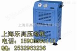 LYX100CNG中国微型高压压缩机行业中的*品牌