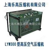 LYX500空气呼吸器填充泵【电话021-65462984】