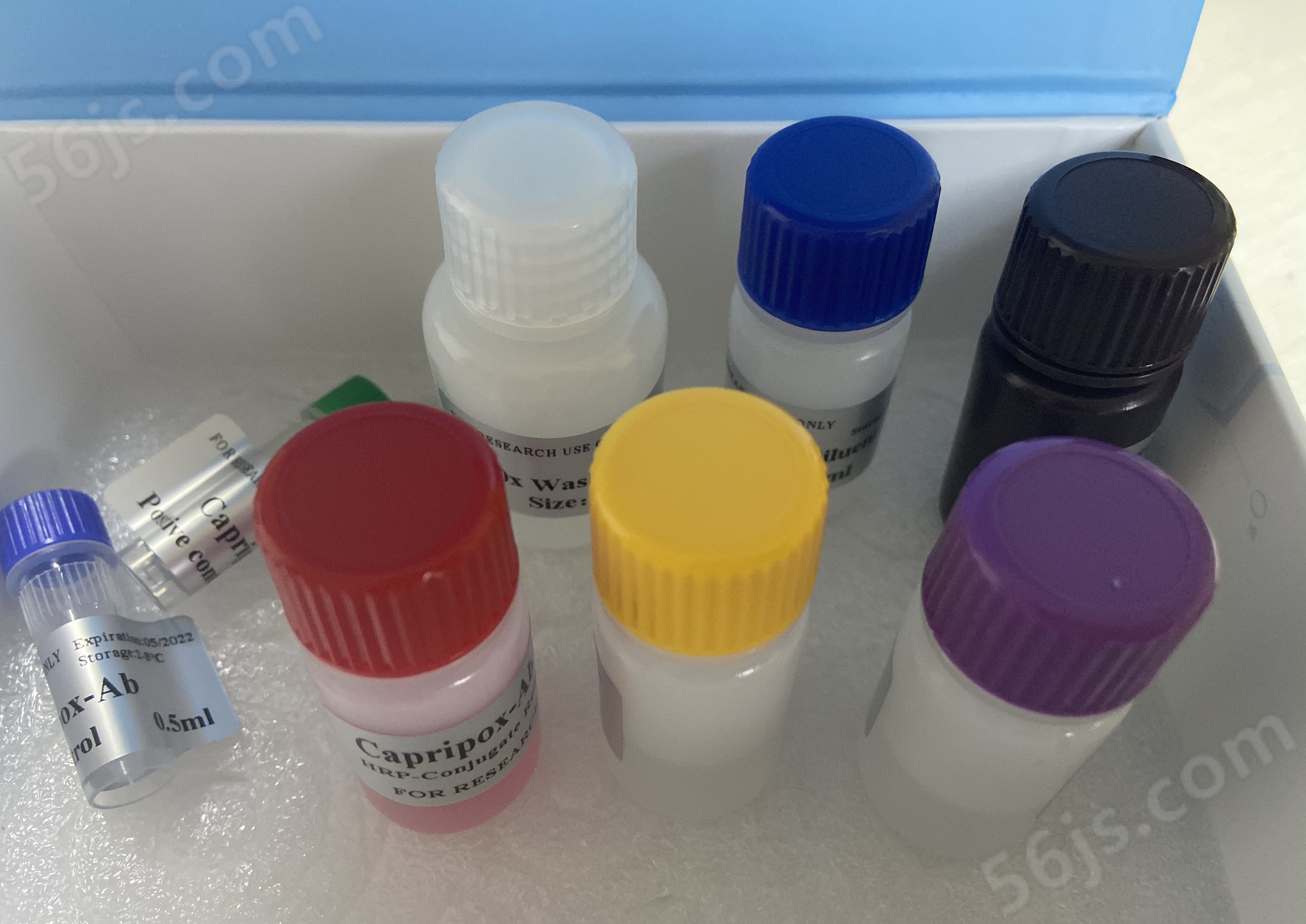 小鼠白细胞介素2ELISA测试盒