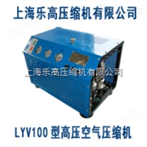 提供LYV100型潜水呼吸高压空气压缩机